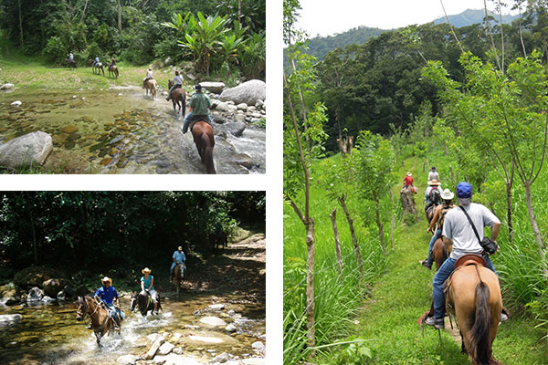 Horseback riding in the Cangrejal valley half day excursion
