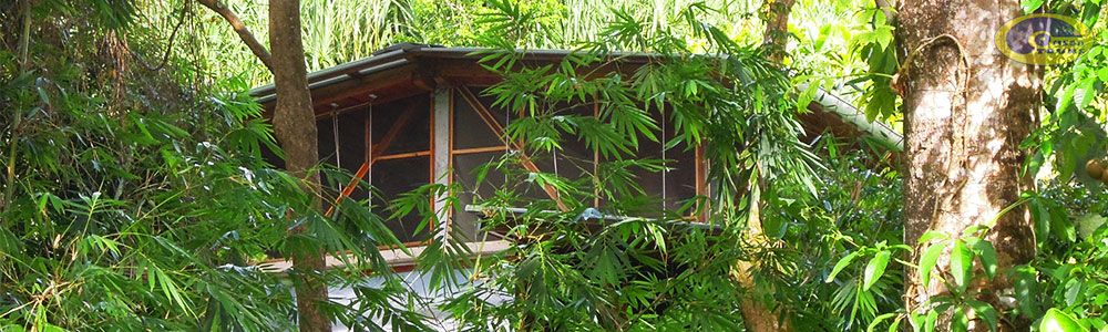 eco Jungle Lodge Slider 04